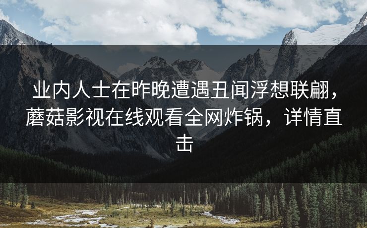 业内人士在昨晚遭遇丑闻浮想联翩，蘑菇影视在线观看全网炸锅，详情直击