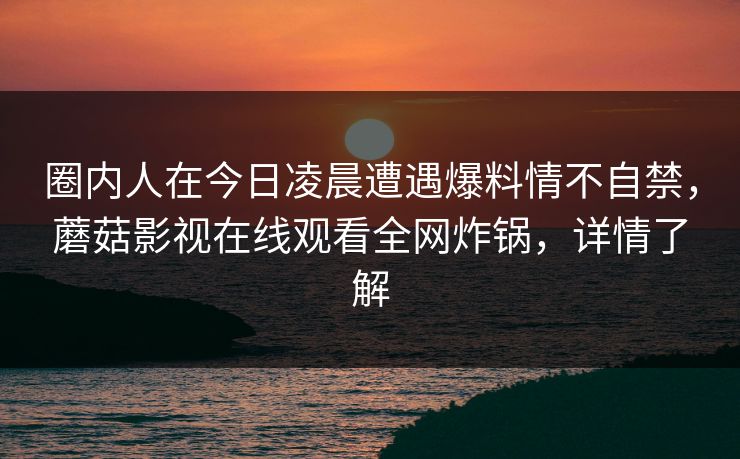 圈内人在今日凌晨遭遇爆料情不自禁，蘑菇影视在线观看全网炸锅，详情了解